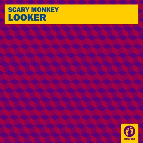Looker cover art