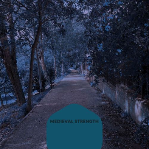 Medieval Strenght_poster_image