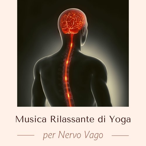 Musica rilassante di yoga per nervo vago cover art