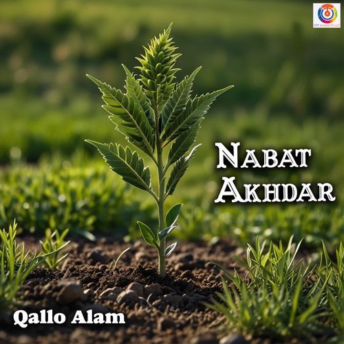 Nabat Akhdar