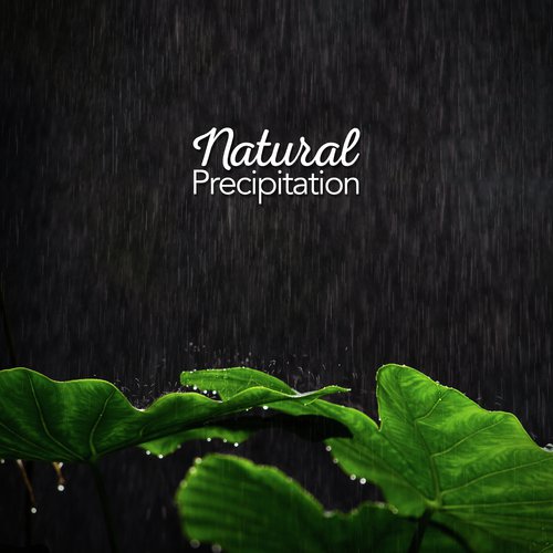 Natural Precipitation