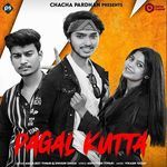 Pagal Kutta