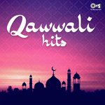 Husn Jab Meharban Ho (From Dil Aashiqon Ka Jalaya Hai)
