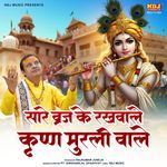 Saare Braj Ke Rakhwale Krishan Murli Wale