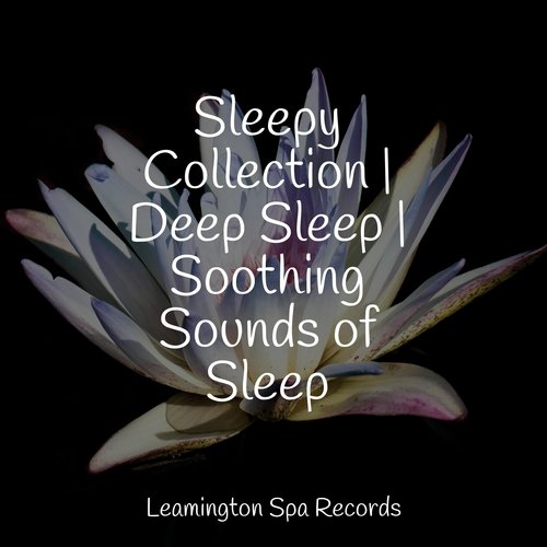 Meditating Music cover art