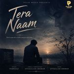 Tera Naam