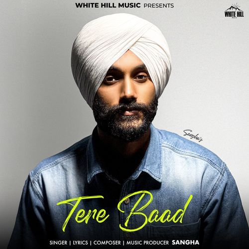 Tere Baad