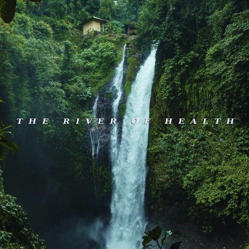 The River Of Health_poster_image