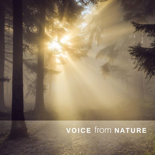 Voice from Nature: Music from Meditation & Yoga, Sounds for Relaxation, Deep Sleep, Healing Nature Melody for Mind, Body & Soul