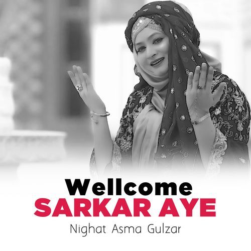 Wellcome Sarkar Aye (Lofi-Mix)