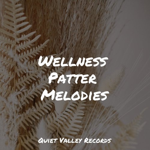 Wellness Patter Melodies_poster_image