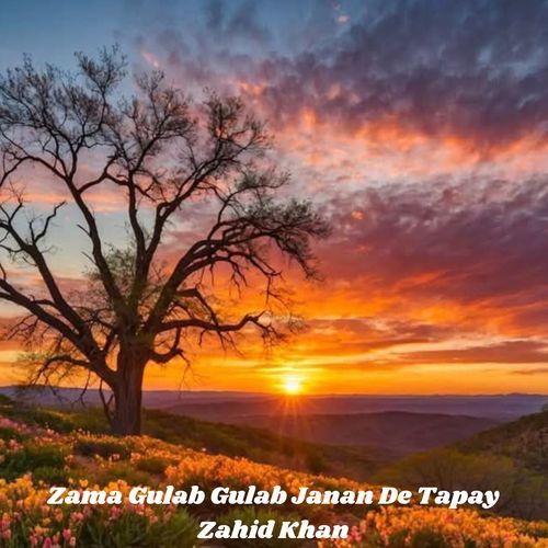 Zama Gulab Gulab Janan De Tapay