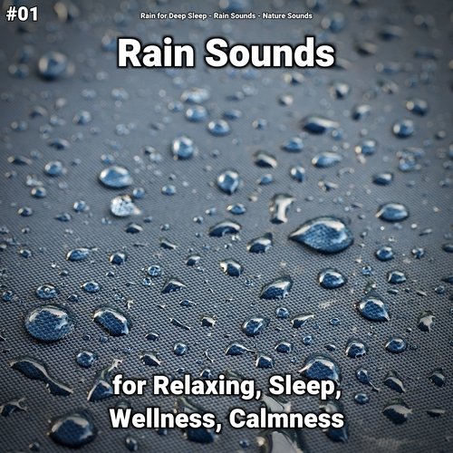 Placid Rain Sounds to Study To cover art