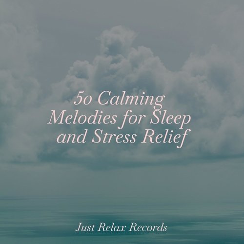 50 Calming Melodies for Sleep and Stress Relief