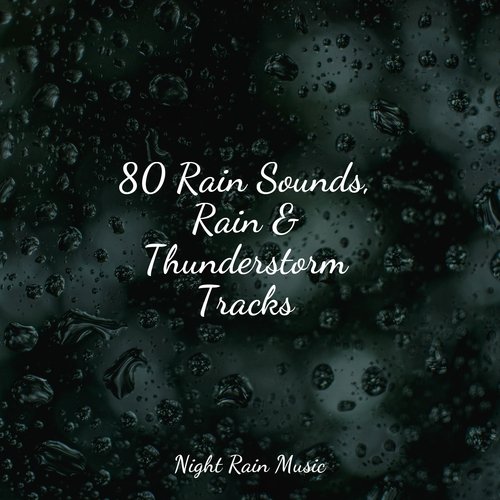 Soothing Ocean Sounds cover art