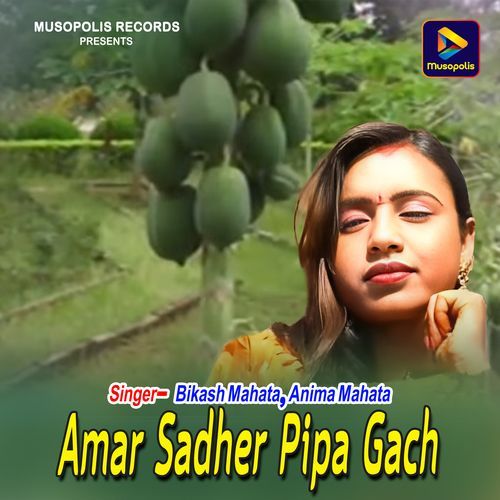 Amar Sadher Pipa Gach