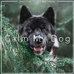 Calm My Dog: Relaxing Music For Dogs to Reduce Anxiety