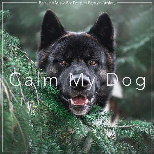 Calm My Dog: Relaxing Music For Dogs to Reduce Anxiety