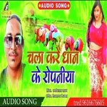 Chal Kare Dhan Ke Ropaniya