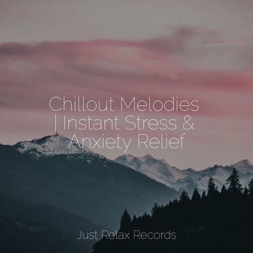 Chillout Melodies | Instant Stress & Anxiety Relief_poster_image