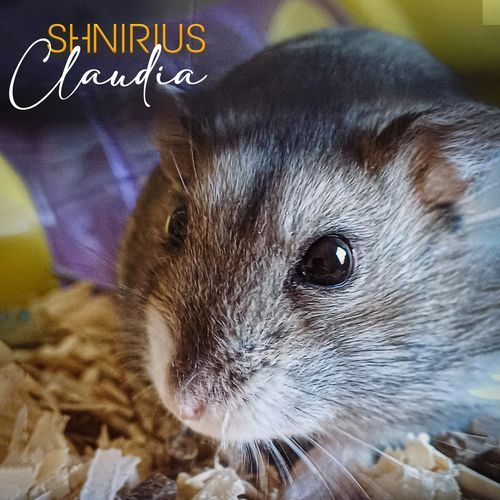Claudia cover art