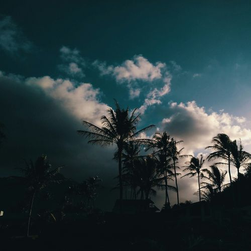 Isolated cover art