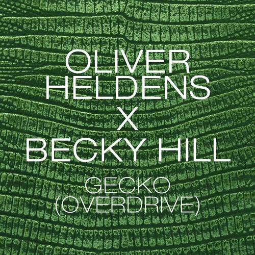 Gecko cover art