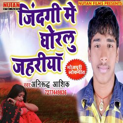  Nitesh Singh Nirmal