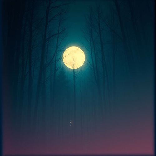 Loneliness In Me