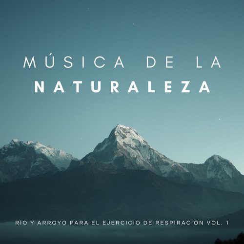 Fuerte Ruido Del Río cover art