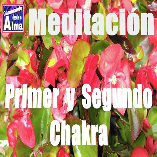 Meditación. Primero y Segundo Chakra. cover art