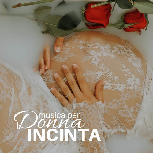 Musica per Donna Incinta cover art