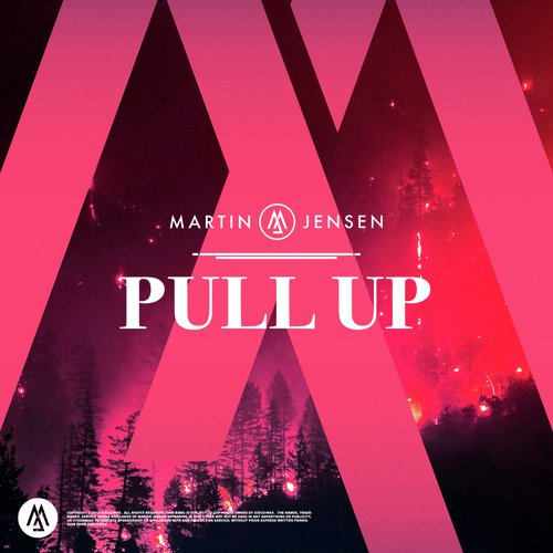 Pull Up_poster_image