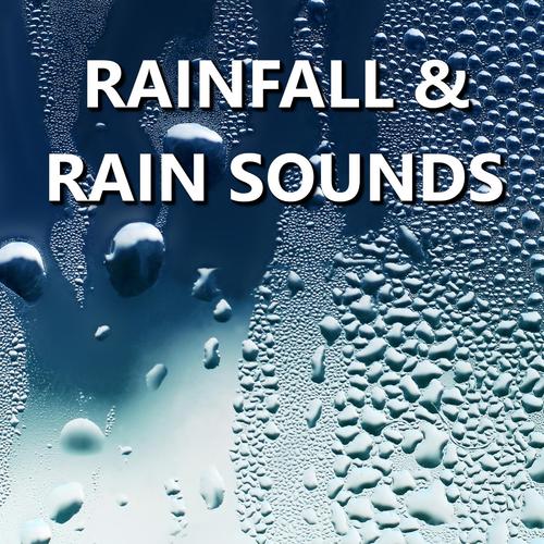 Rainfall & Rain Sounds