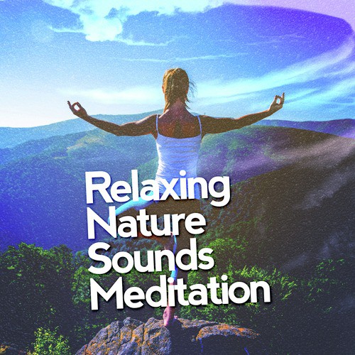 Relaxing Nature Sounds: Meditation
