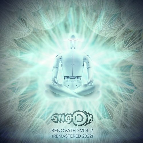 Renovated, Vol. 2 (Remastered 2022)