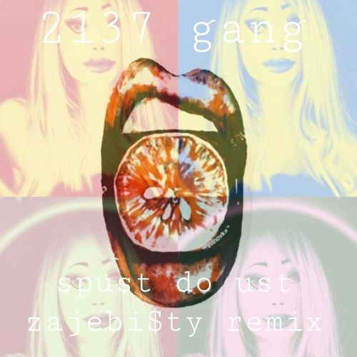 Spust do Ust (REMIX ZAJEBI$TY)