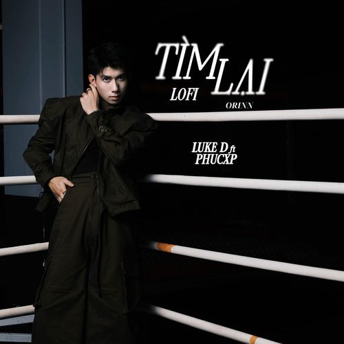 Tìm Lại (Orinn Lofi)