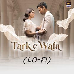 Tark E Wafa (Lo-Fi)-QDk-eB5FAAY