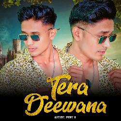 Tera Deewana-CCQ0aQx9c3I