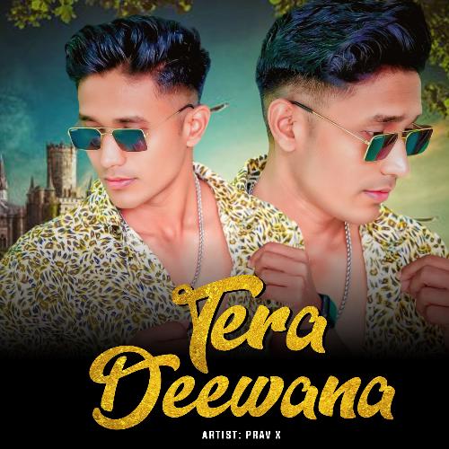 Tera Deewana