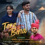 Tere Bina