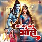 Teri Meri Jodi Bhole