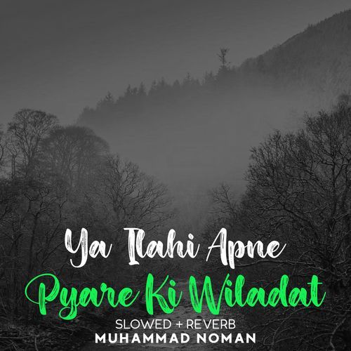 Ya Ilahi Apne Pyare Ki Wiladat Lofi