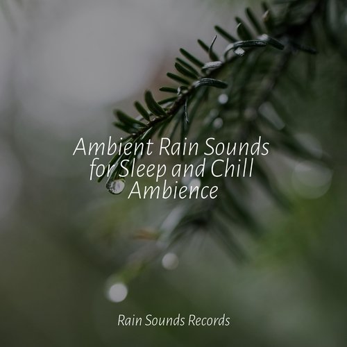 Ambient Rain Sounds for Sleep and Chill Ambience