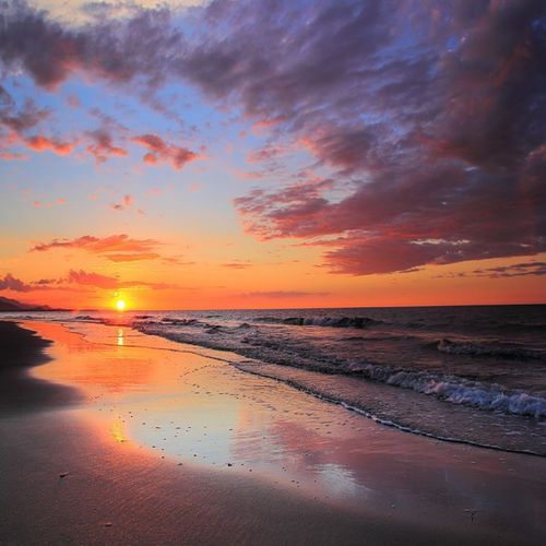 Apocalypse (Insturmental)