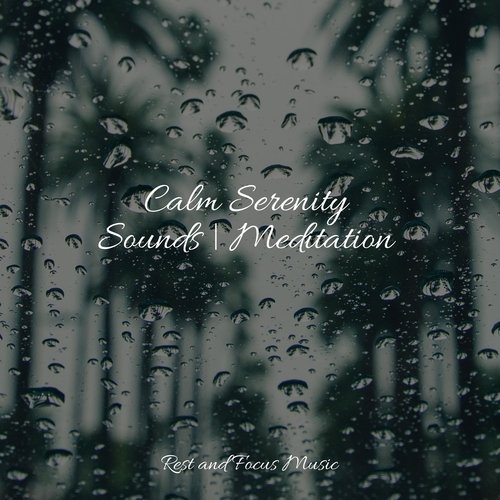 Calm Serenity Sounds | Meditation