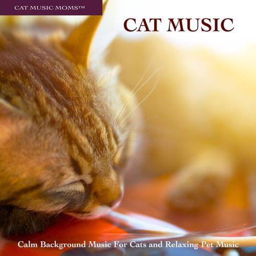 Cat Music: Calm Background Music For Cats and Relaxing Pet Music