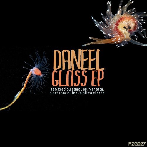 Gloss (Matteo Floris Remix) cover art
