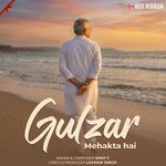 Gulzar Mehakta Hai